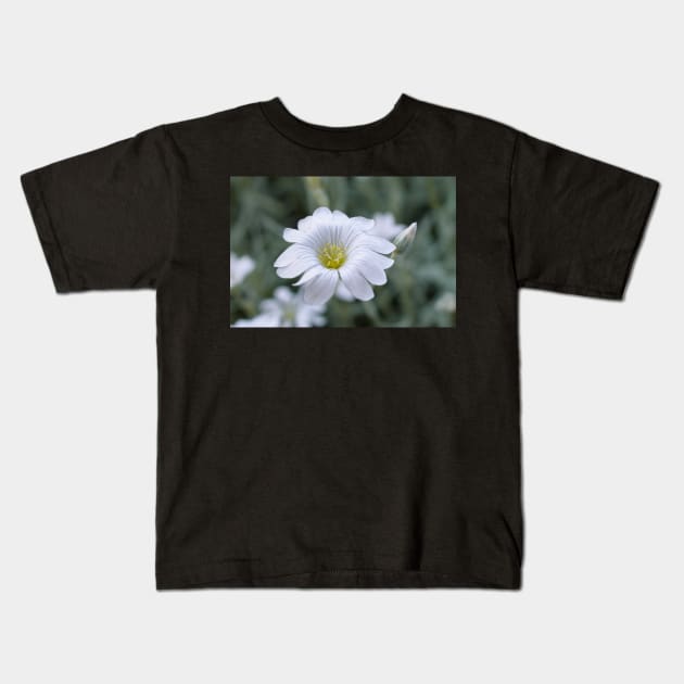 White flower Kids T-Shirt by Anastasia-03